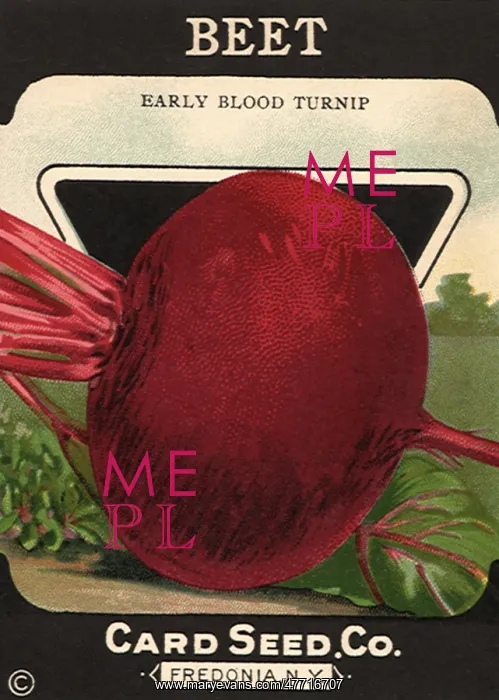  : Beet Seed Packet