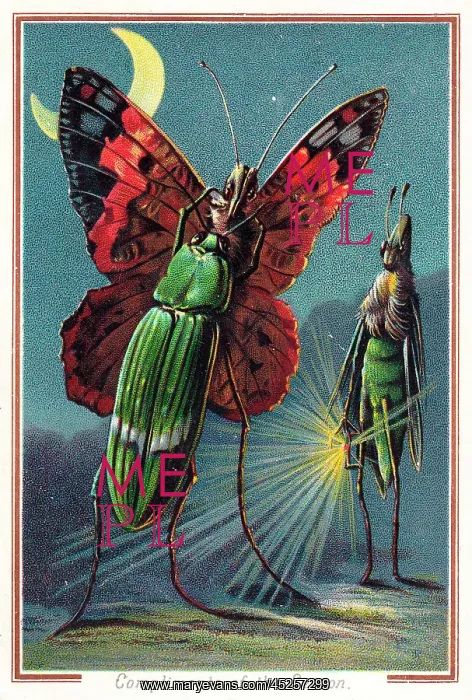 : Two beetles and a butterfly on a Christmas card : Two beetles and a butterfly on a Christmas card
