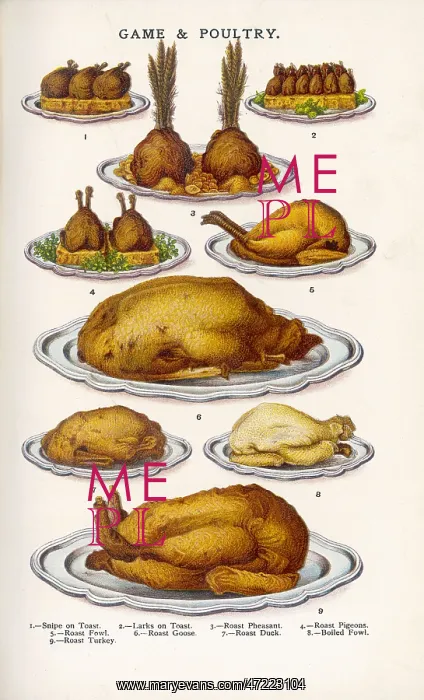 : Beeton Game and Poultry : Beeton Game and Poultry
