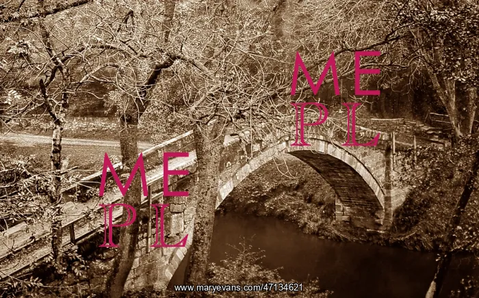  : Beggars Bridge, Glaisdale