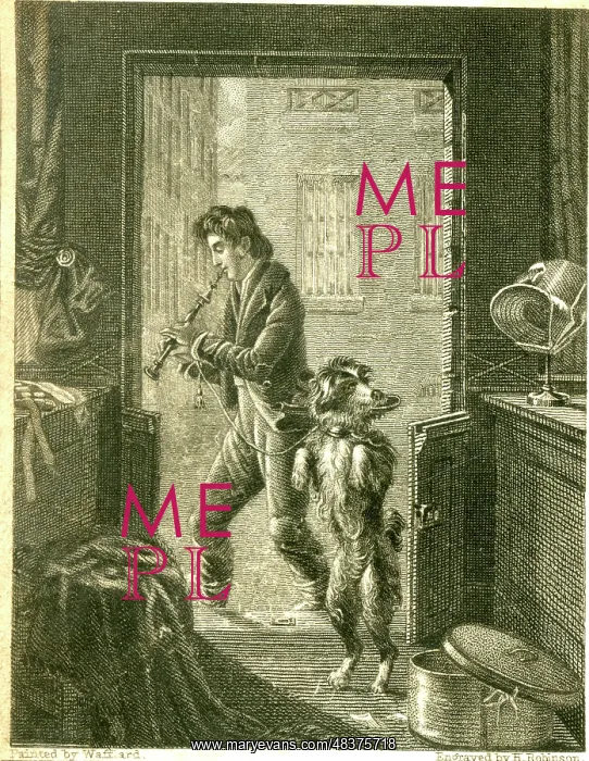 : The Beggar's Dog : The Beggar's Dog