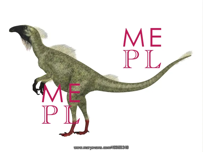 : Beipiaosaurus dinosaur, sie view on white background : Beipiaosaurus dinosaur, sie view on white background