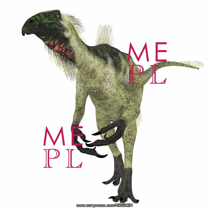 : Beipiaosaurus dinosaur, front view : Beipiaosaurus dinosaur, front view