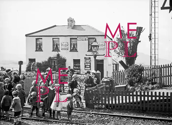 : Belfast & County Down Railway. at Sydenham : Belfast & County Down Railway. at Sydenham