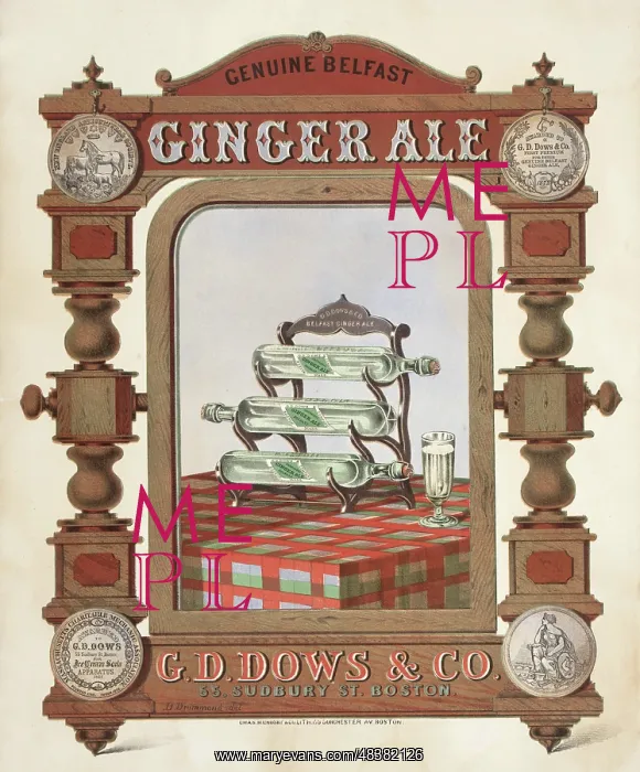 : Belfast Ginger Ale : Belfast Ginger Ale