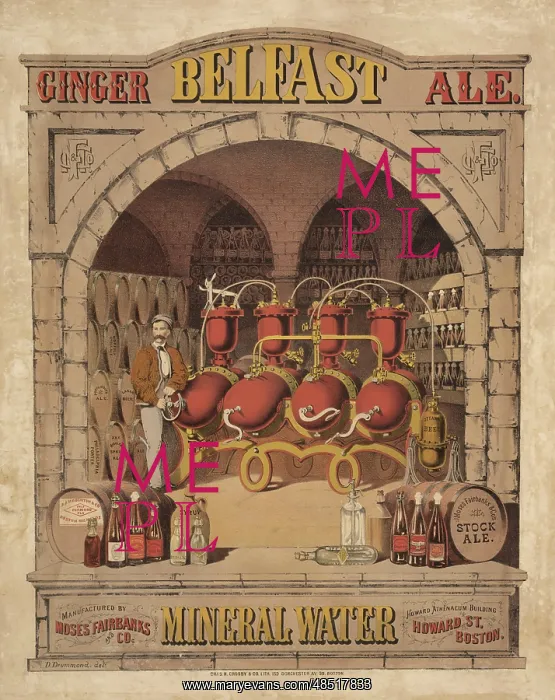 : Belfast Ginger Ale by Moses Fairbanks and Co : Belfast Ginger Ale by Moses Fairbanks and Co