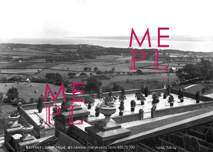: Belfast Lough from Bellevue : Belfast Lough from Bellevue
