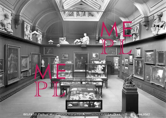 : Belfast Public Museum, the Art Gallery : Belfast Public Museum, the Art Gallery