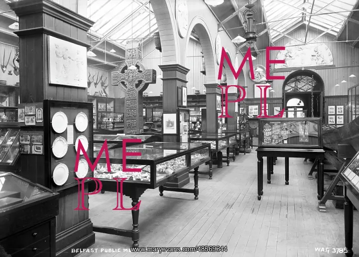 : Belfast Public Museum, Grainger Room : Belfast Public Museum, Grainger Room