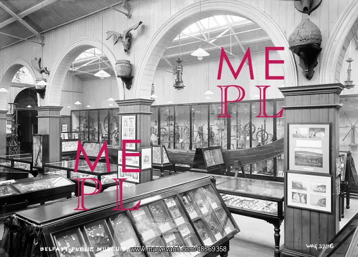 : Belfast Public Museum, Grainger Room : Belfast Public Museum, Grainger Room