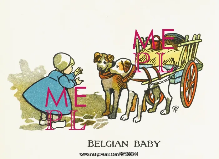 : BELGIAN BABY & DOGS : BELGIAN BABY & DOGS