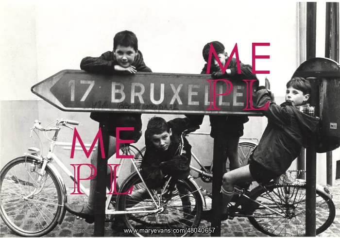 : Belgian boy scouts with road sign : Belgian boy scouts with road sign