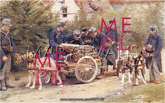  : BELGIAN CANNON DOGS 1914