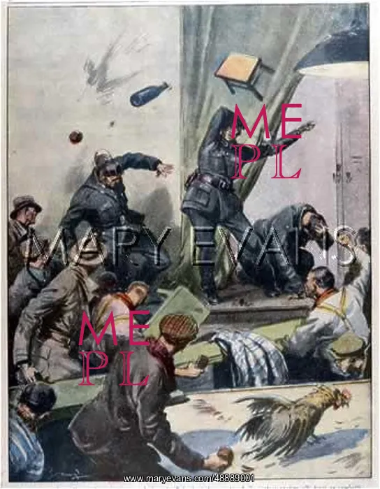: BELGIAN COCKFIGHT : BELGIAN COCKFIGHT