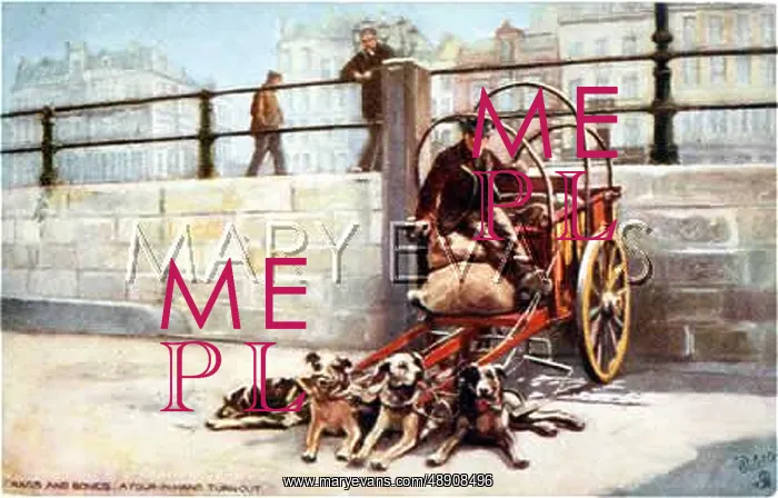  : BELGIAN DOG CART