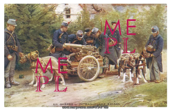 : BELGIAN DOGS HAUL GUNS : BELGIAN DOGS HAUL GUNS