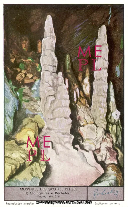 : BELGIAN GROTTO 1 : BELGIAN GROTTO 1