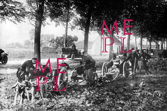 : Belgian munitions transport, 1914 : Belgian munitions transport, 1914