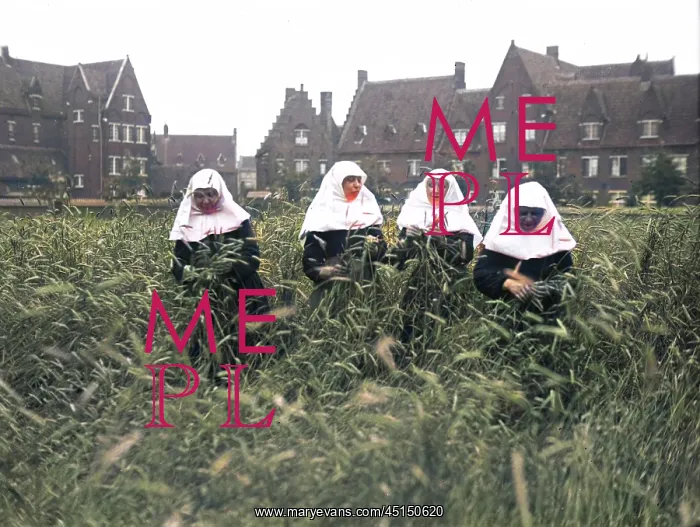  : BELGIAN NUNS