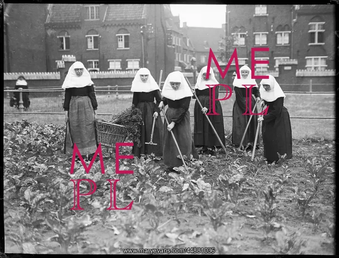 : Belgian Nuns Gardening : Belgian Nuns Gardening