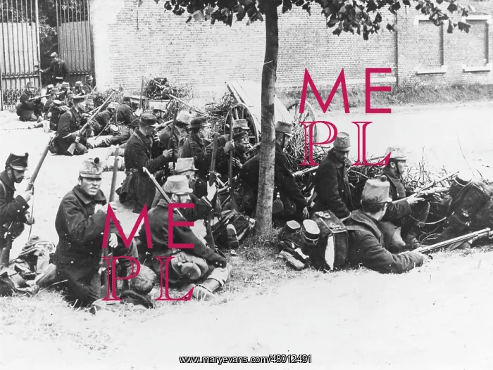 : Belgian retreat to Antwerp, WW1 : Belgian retreat to Antwerp, WW1