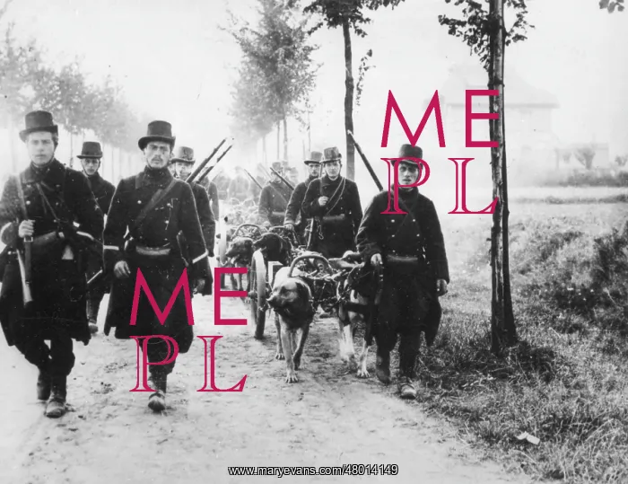 : Belgian soldiers retreating to Antwerp, WW1 : Belgian soldiers retreating to Antwerp, WW1