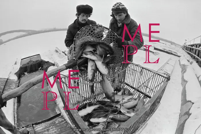  : Belgorod experimental fish distribution base