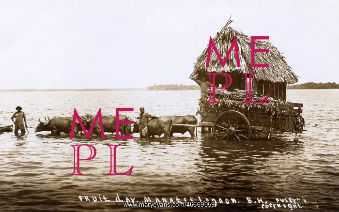 : Belize - Manatee Lagoon - Fruit Day : Belize - Manatee Lagoon - Fruit Day