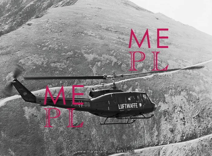 : Bell 205 UH-1D Huey : Bell 205 UH-1D Huey