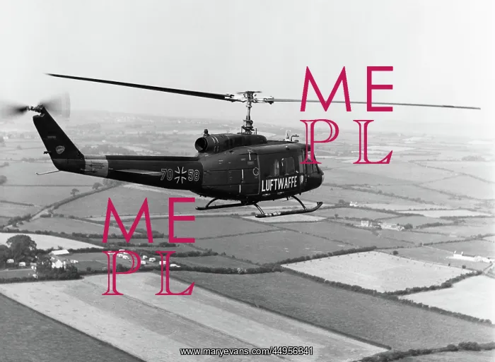: Bell 205 UH-1D Huey : Bell 205 UH-1D Huey