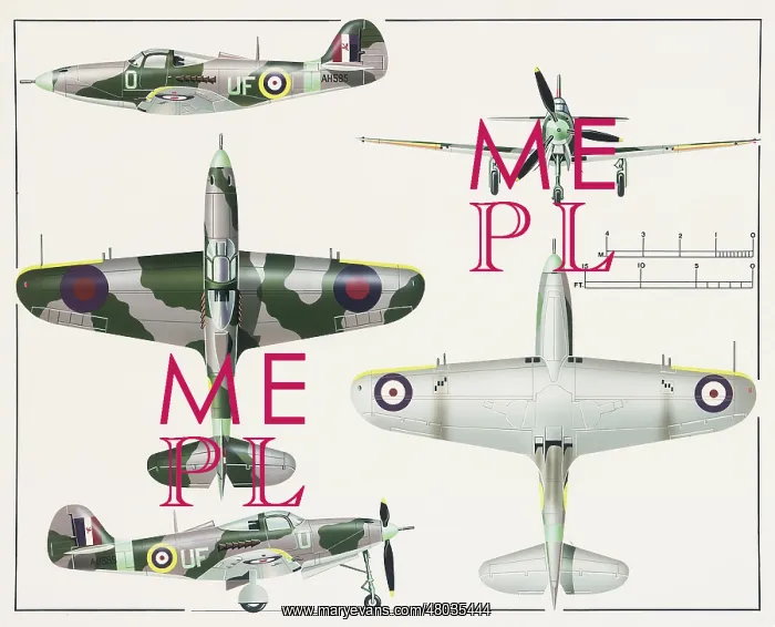 : Bell Airacobra I aeroplane : Bell Airacobra I aeroplane