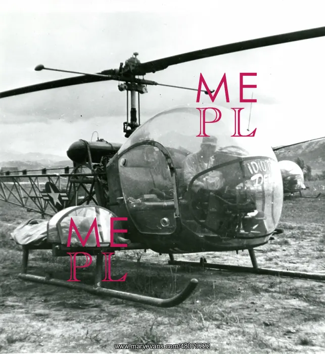 : Bell H-13 Sioux, Idiot...s Delight : Bell H-13 Sioux, Idiot...s Delight