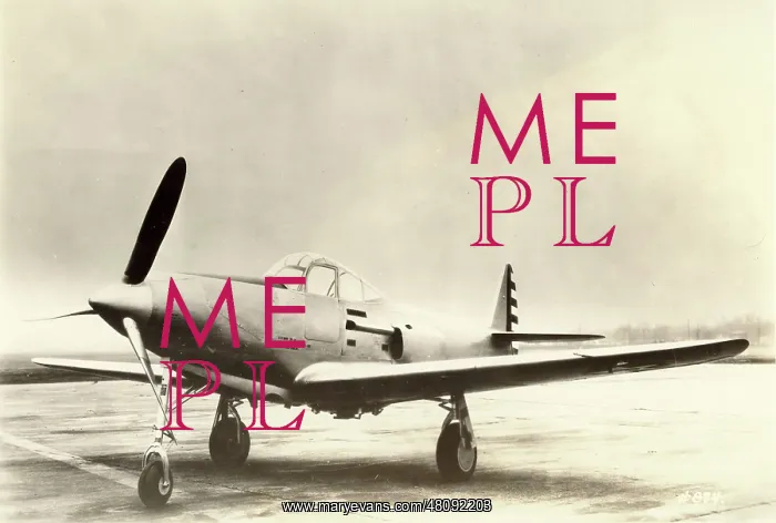 : Bell P-39 Airacobra : Bell P-39 Airacobra