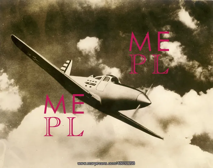 : Bell P-39 Airacobra : Bell P-39 Airacobra