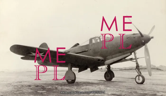 : Bell P-39 Airacobra : Bell P-39 Airacobra