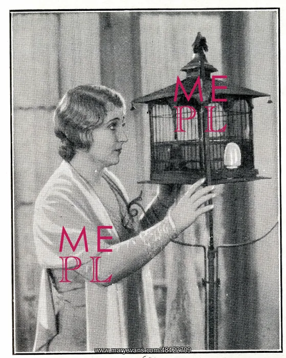  : Belle Bennett, American stage and screen actress
