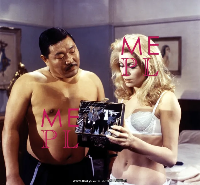 : BELLE DE JOUR : BELLE DE JOUR