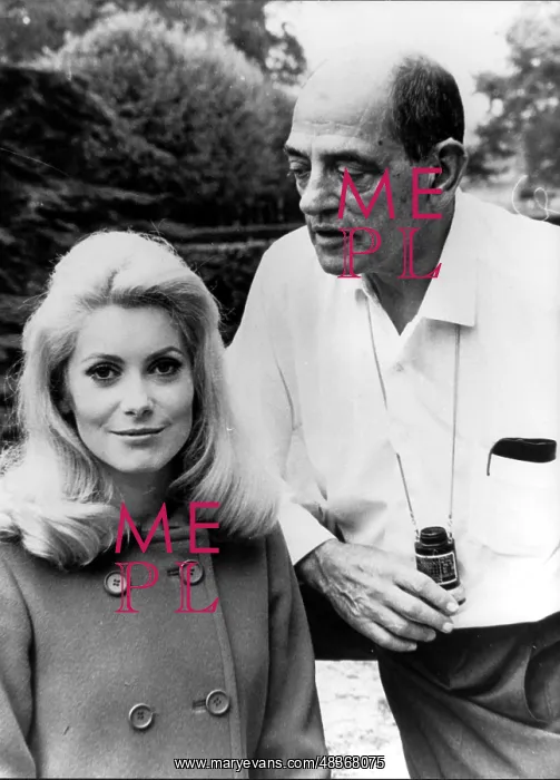 : BELLE DE JOUR : BELLE DE JOUR