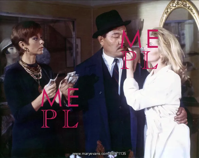 : BELLE DE JOUR : BELLE DE JOUR