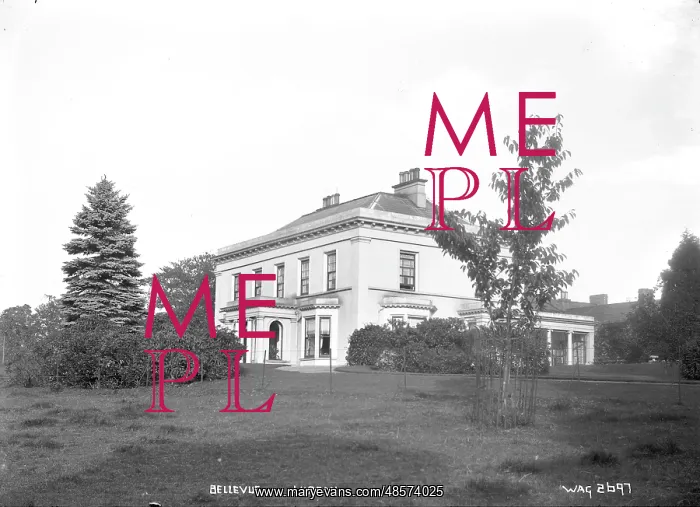 : Bellevue, Lurgan : Bellevue, Lurgan