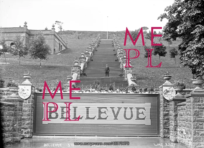 : Bellevue Steps, Belfast : Bellevue Steps, Belfast