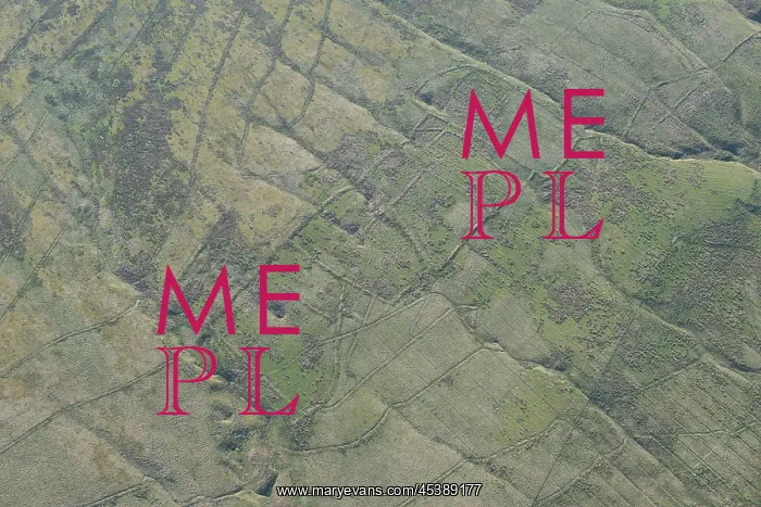  : Bells Moor, Northumberland