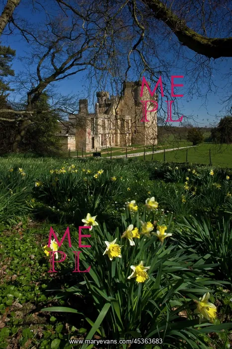 : Belsay Castle : Belsay Castle