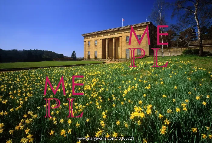: Belsay Hall : Belsay Hall