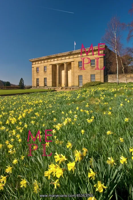 : Belsay Hall : Belsay Hall
