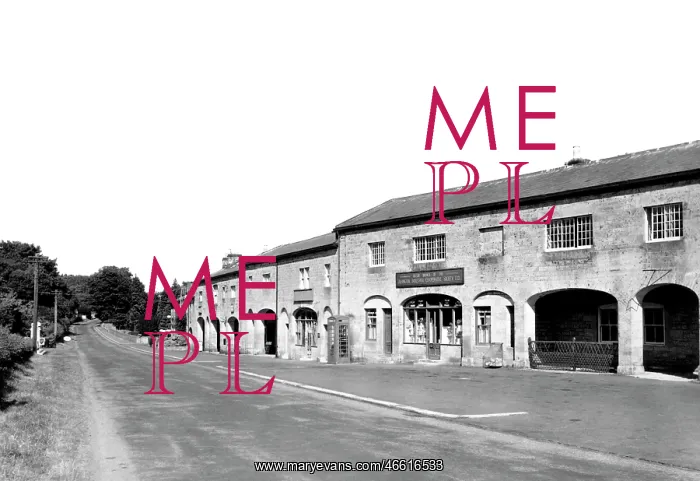  : Belsay, the Village c1955
