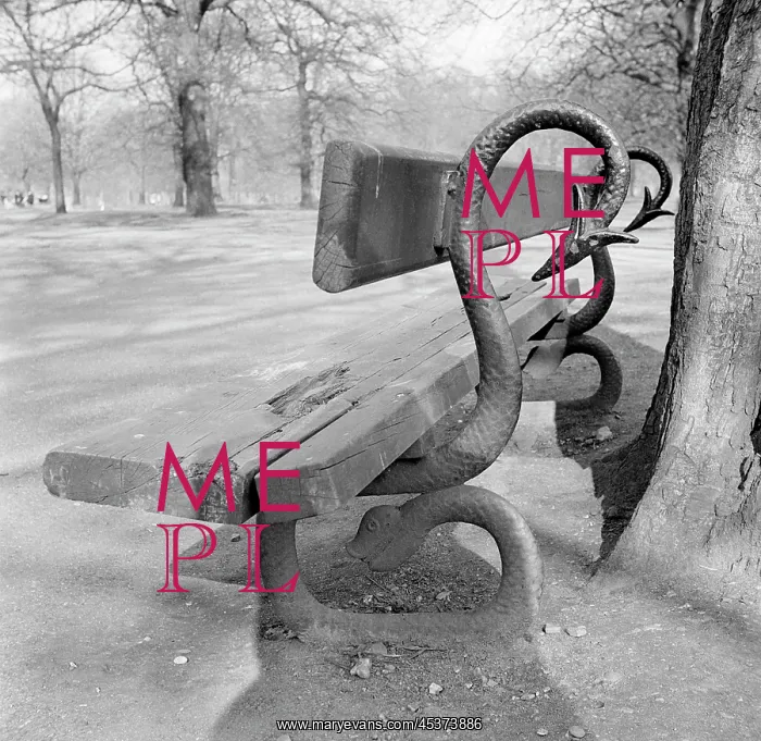 : Bench in Kensington Gardens : Bench in Kensington Gardens
