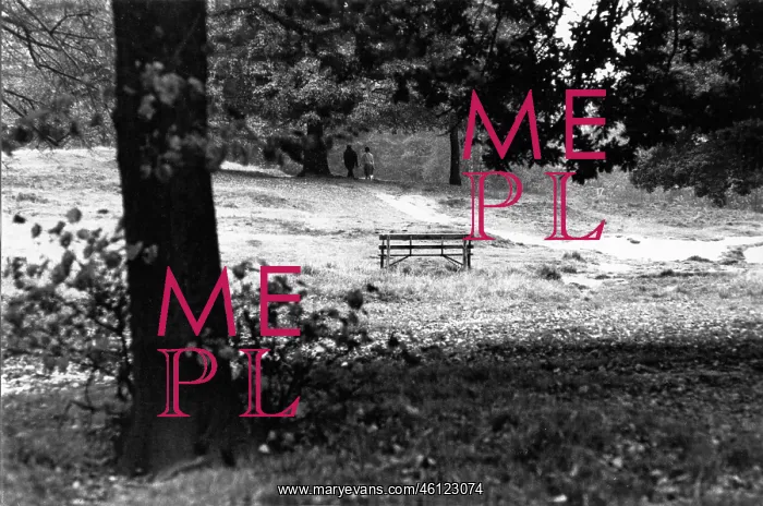 : Empty Bench on a sunny day in a park : Empty Bench on a sunny day in a park