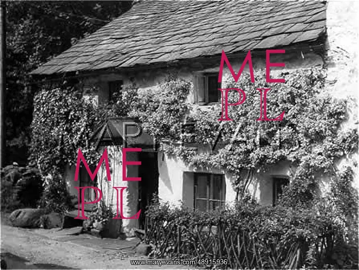 : BEND OR BUMP COTTAGE : BEND OR BUMP COTTAGE