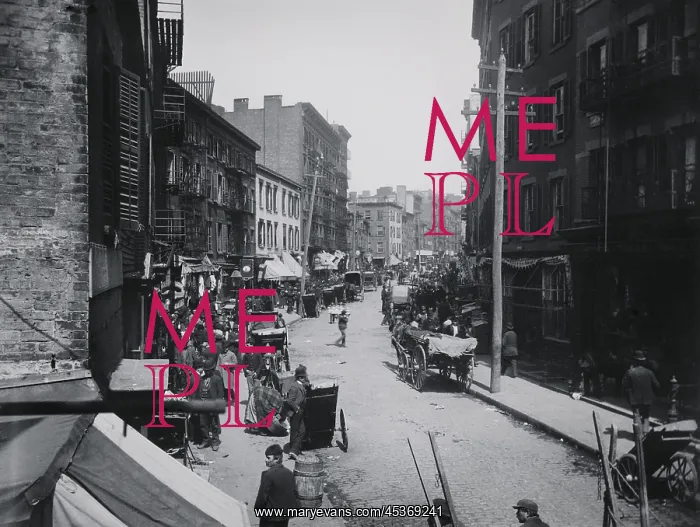  : THE BEND, by Jacob Riis, c. 1888-90. The infamous